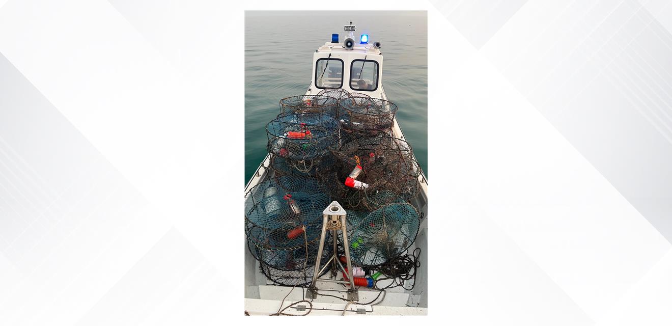 ضبط شخصان لمخالفتهما ضوابط استخدام المصائد البحرية والشباك<